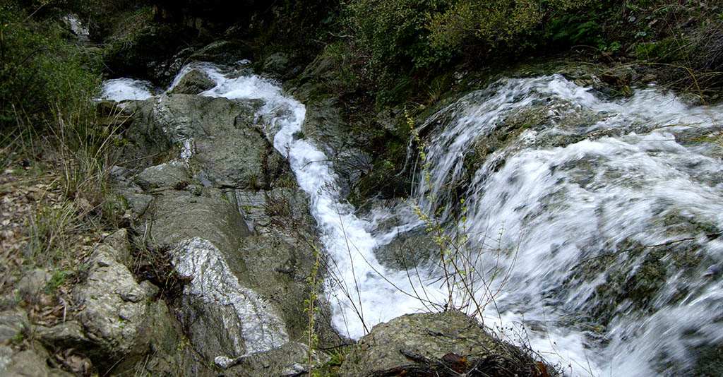 Cours d'eau