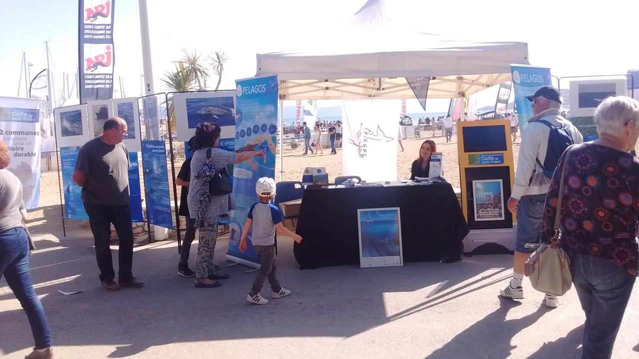 stand Pelagos 9